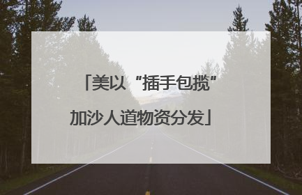 美以“插手包揽”加沙人道物资分发