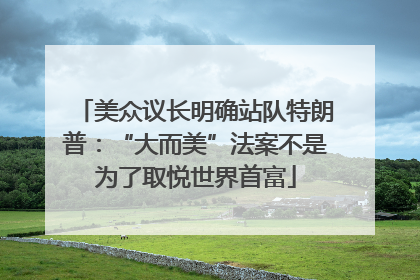 美众议长明确站队特朗普：“大而美”法案不是为了取悦世界首富