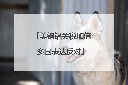 美钢铝关税加倍 多国表达反对