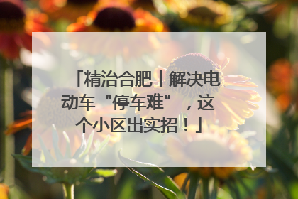 精治合肥丨解决电动车“停车难”，这个小区出实招！
