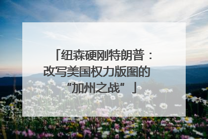纽森硬刚特朗普：改写美国权力版图的 “加州之战”