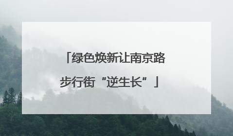 绿色焕新让南京路步行街“逆生长”