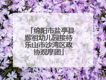 绵阳市盐亭县嫘祖幼儿园接待乐山市沙湾区政协观摩团