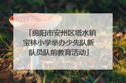 绵阳市安州区塔水镇宝林小学举办少先队新队员队前教育活动