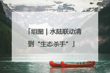 组图｜水陆联动清剿“生态杀手”