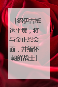 绍伊古抵达平壤，将与金正恩会面，并缅怀朝鲜战士