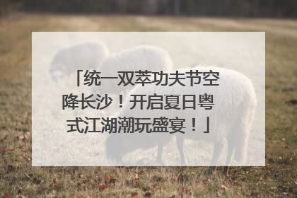 统一双萃功夫节空降长沙！开启夏日粤式江湖潮玩盛宴！
