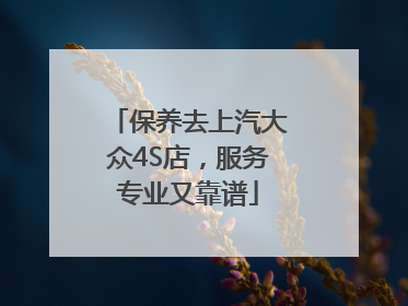 保养去上汽大众4S店，服务专业又靠谱