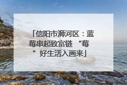 信阳市浉河区：蓝莓串起致富链 “莓”好生活入画来