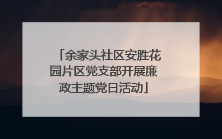 余家头社区安胜花园片区党支部开展廉政主题党日活动