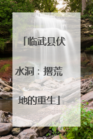 临武县伏水洞：撂荒地的重生