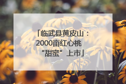 临武县黄皮山：2000亩红心桃“甜蜜”上市