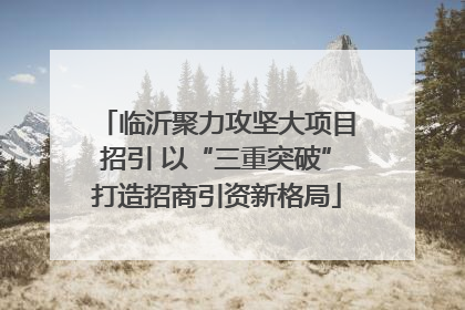 临沂聚力攻坚大项目招引 以“三重突破”打造招商引资新格局