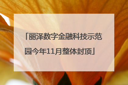 丽泽数字金融科技示范园今年11月整体封顶