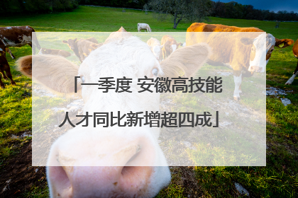一季度 安徽高技能人才同比新增超四成