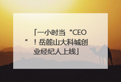 一小时当“CEO”！岳麓山大科城创业经纪人上线