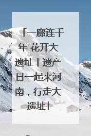 一廊连千年 花开大遗址丨遗产日一起来河南，行走大遗址
