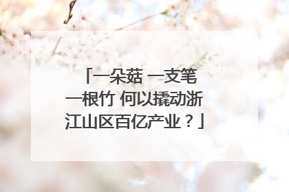 一朵菇 一支笔 一根竹 何以撬动浙江山区百亿产业？