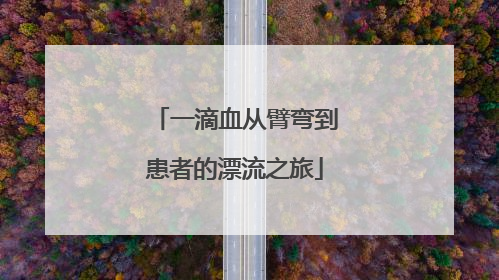 一滴血从臂弯到患者的漂流之旅