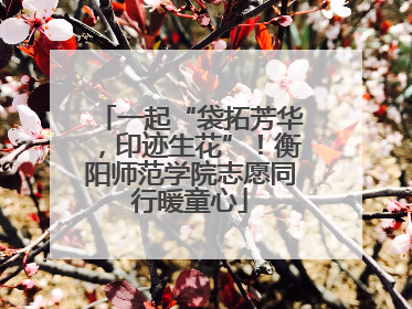 一起“袋拓芳华，印迹生花”！衡阳师范学院志愿同行暖童心