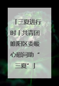 三夏进行时丨共青团睢阳区委暖心慰问助“三夏”