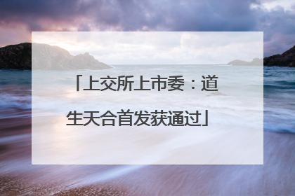 上交所上市委：道生天合首发获通过