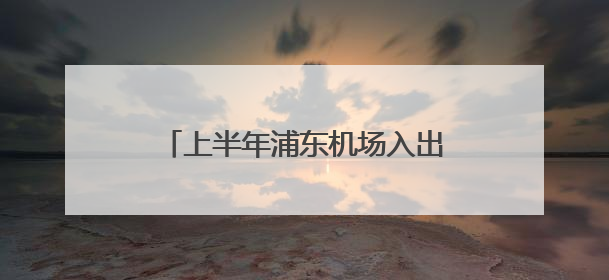上半年浦东机场入出境外籍人员破500万人次，同比增46%