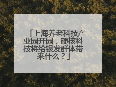 上海养老科技产业园开园，硬核科技将给银发群体带来什么？