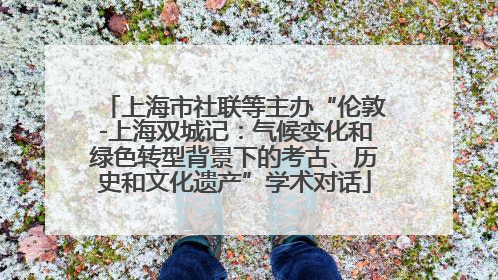 上海市社联等主办“伦敦-上海双城记：气候变化和绿色转型背景下的考古、历史和文化遗产”学术对话