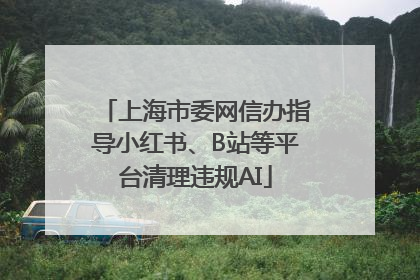 上海市委网信办指导小红书、B站等平台清理违规AI
