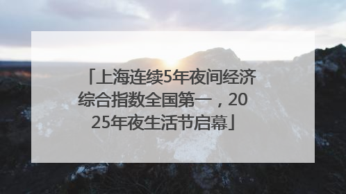 上海连续5年夜间经济综合指数全国第一，2025年夜生活节启幕