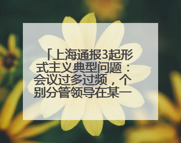 上海通报3起形式主义典型问题：会议过多过频，个别分管领导在某一天同一时段需参加3个会议