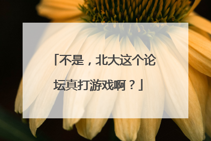 不是，北大这个论坛真打游戏啊？