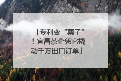 专利变“票子”！宜昌茶企凭它撬动千万出口订单