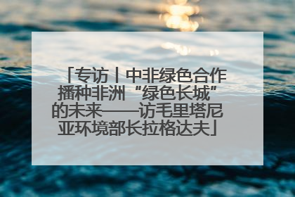 专访丨中非绿色合作播种非洲“绿色长城”的未来——访毛里塔尼亚环境部长拉格达夫