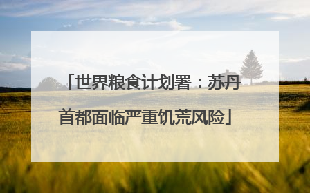 世界粮食计划署：苏丹首都面临严重饥荒风险