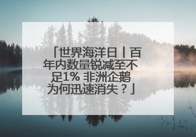 世界海洋日丨百年内数量锐减至不足1% 非洲企鹅为何迅速消失？