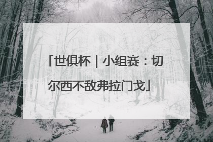 世俱杯｜小组赛：切尔西不敌弗拉门戈