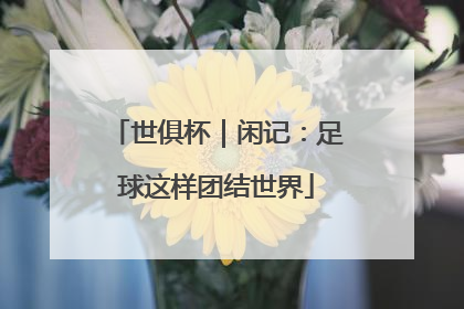 世俱杯｜闲记：足球这样团结世界