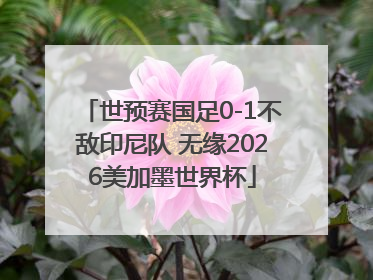 世预赛国足0-1不敌印尼队 无缘2026美加墨世界杯