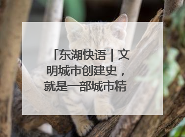 东湖快语｜文明城市创建史，就是一部城市精神成长史