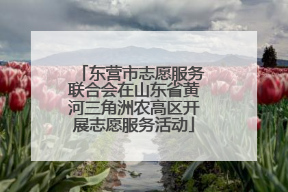 东营市志愿服务联合会在山东省黄河三角洲农高区开展志愿服务活动