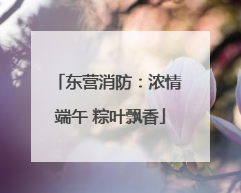 东营消防：浓情端午 粽叶飘香