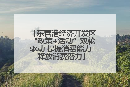 东营港经济开发区“政策+活动”双轮驱动 提振消费能力 释放消费潜力