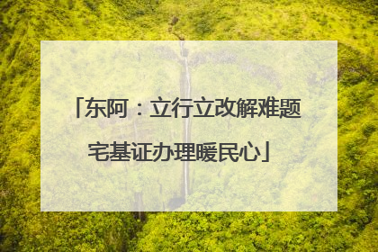 东阿：立行立改解难题 宅基证办理暖民心