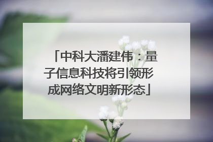 中科大潘建伟：量子信息科技将引领形成网络文明新形态