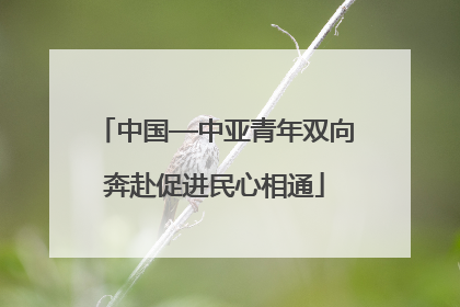 中国—中亚青年双向奔赴促进民心相通