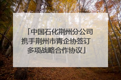 中国石化荆州分公司携手荆州市青企协签订多项战略合作协议
