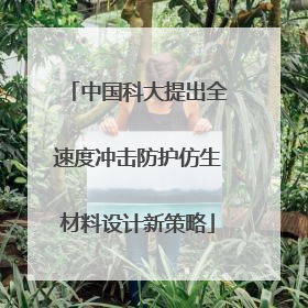 中国科大提出全速度冲击防护仿生材料设计新策略