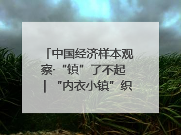 中国经济样本观察·“镇”了不起｜“内衣小镇”织出500亿元“里子产业”